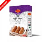 Gulab Jamun